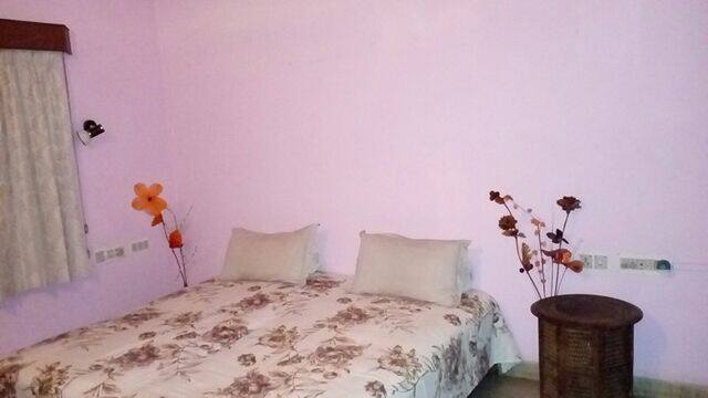 Hotel Darbar Homestay, Udaipur 4